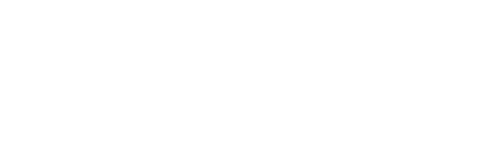 FEMA logo white